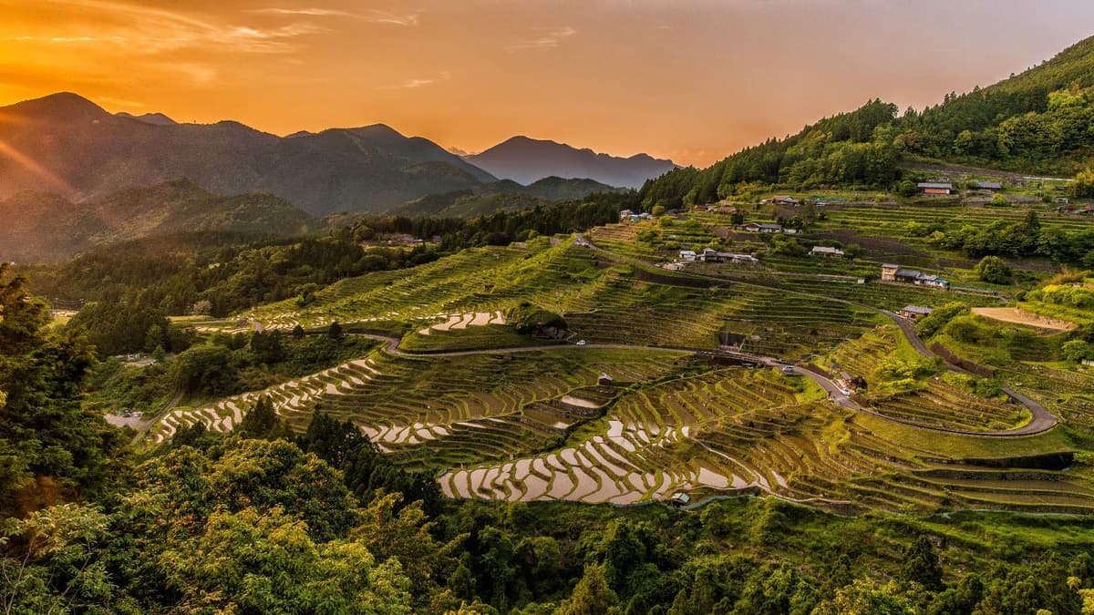 Agricultural Development